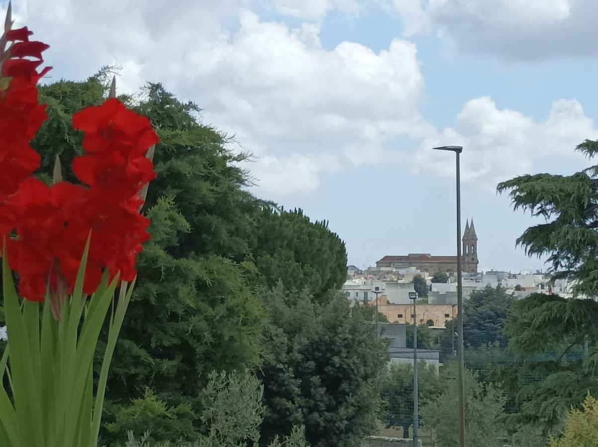Sognando Alberobello Panzió Kültér fotó